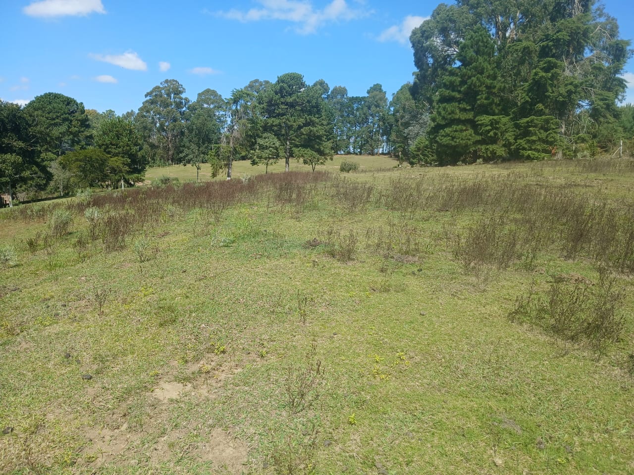 Chacara-4