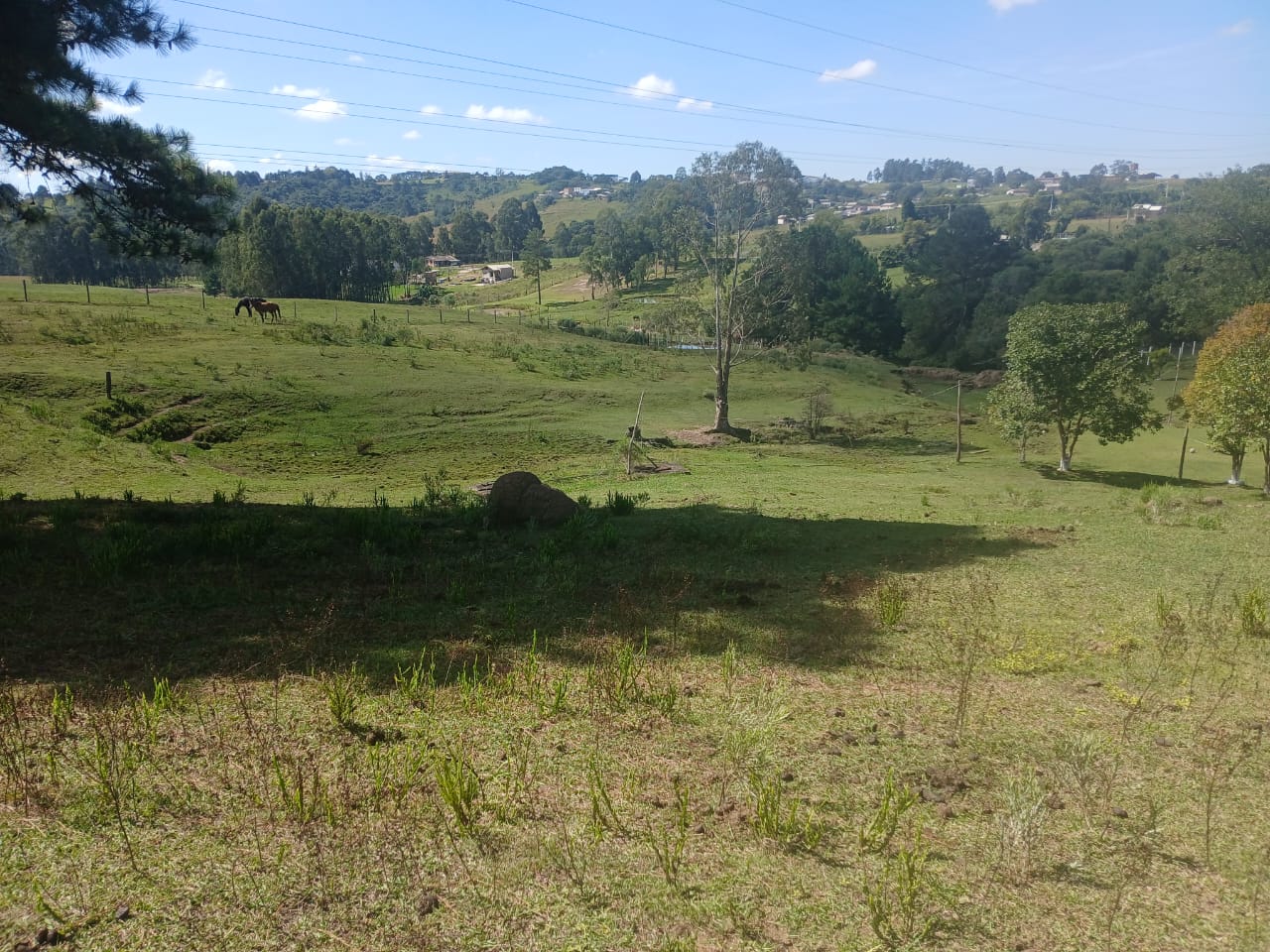 Chacara-5
